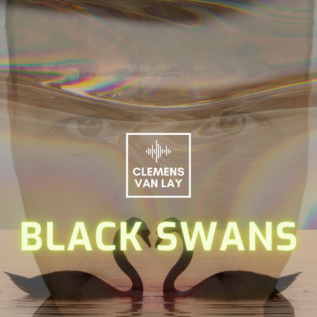 Website Black Swans